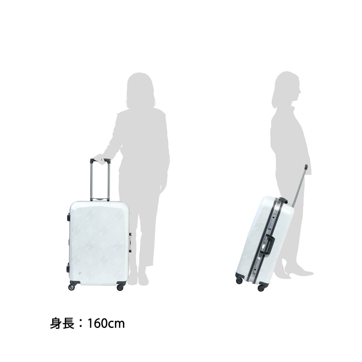 PROTeCA プロテカ EQUINOX LIGHT ORE LTD2 エキノックスライト PROTeCA プロテカ EQUINOX LIGHT ORE LTD2 エキノックスライト