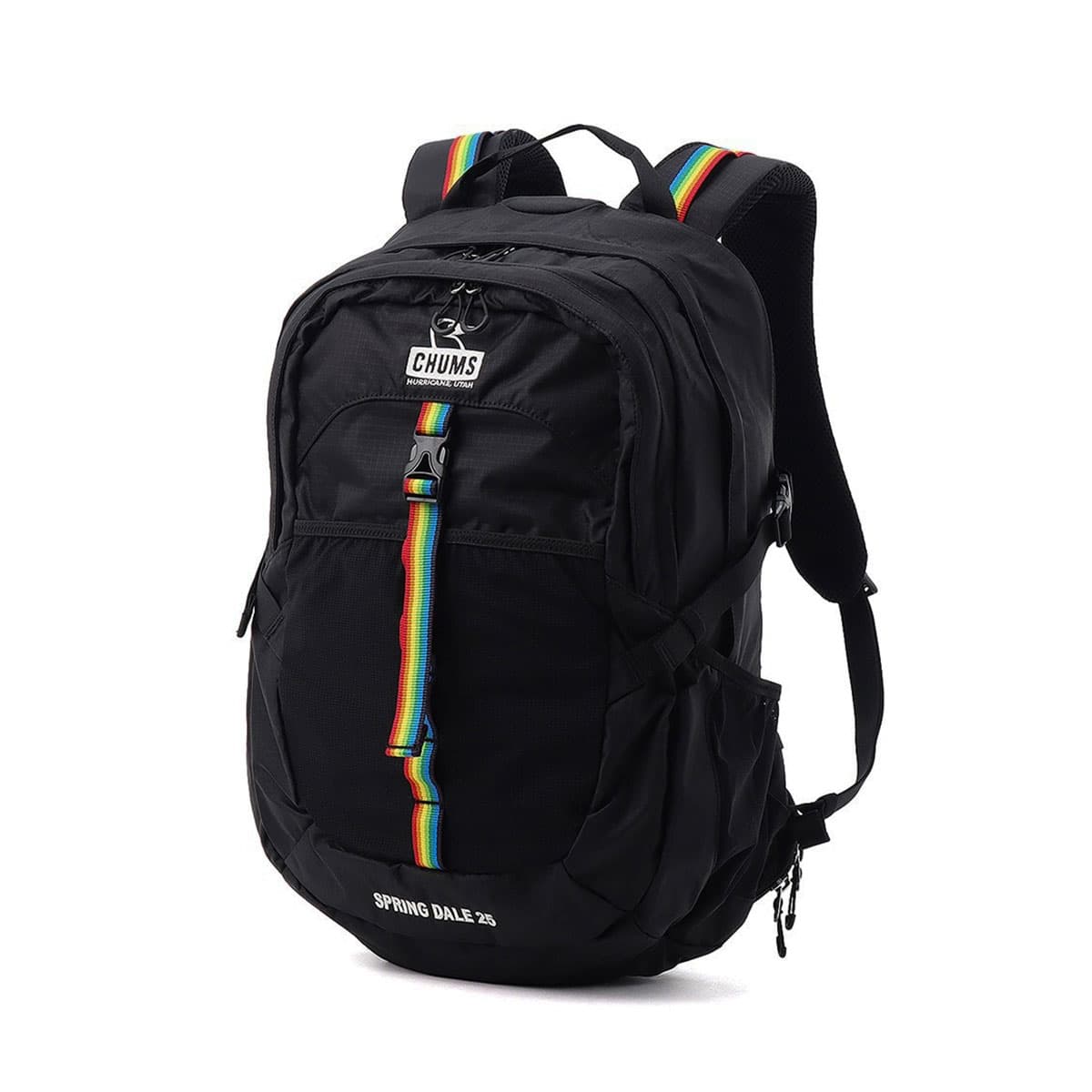 日本正規品】CHUMS チャムス Spring Dale 25 リュック 25L CH60-4098
