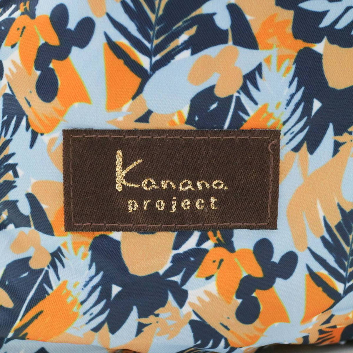 Kanana project COLLECTION カナナプロジェクト コレクション ストライプフォールド オアシス リュックサック 10L 62173