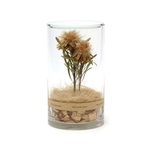 The landscapers ザ ランドスケーパーズ DRY CYLINDER with LID DC20