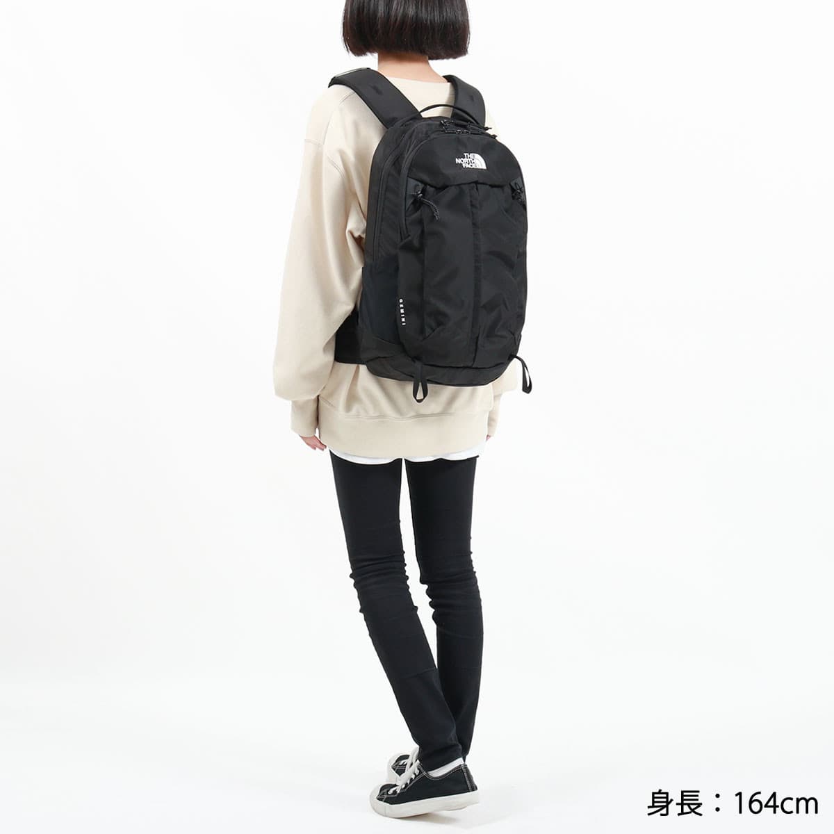 THE NORTH FACE GEMINI ジェミニ　22L