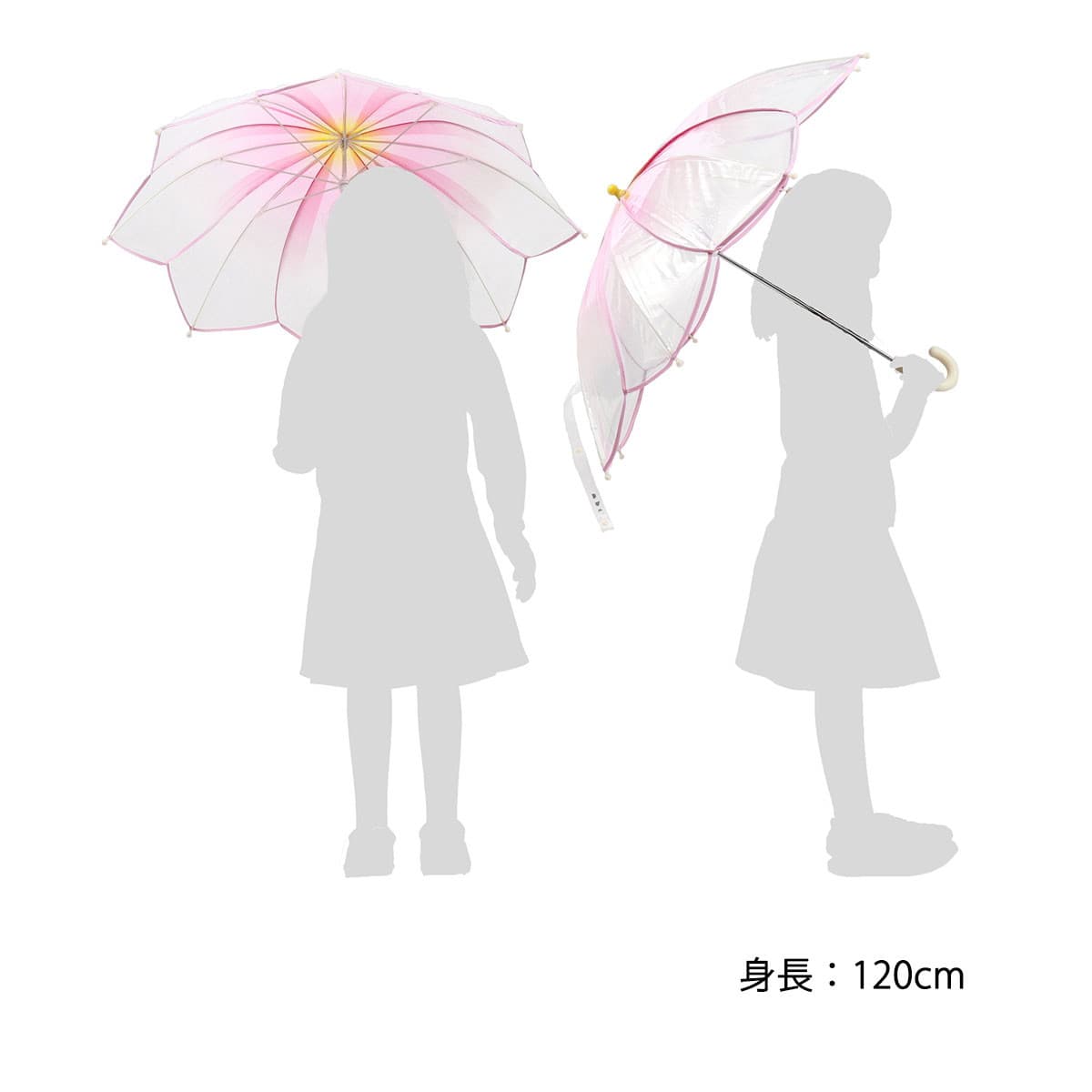 Cp win傘アンブレラbrightwin 2gether