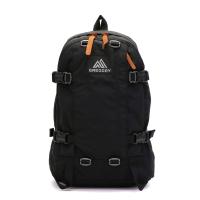 【日本正規品】GREGORY グレゴリー オールデイ デイパック 22L