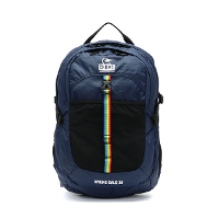 【2020FWモデル】【日本正規品】CHUMS チャムス Spring Dale 25 2 リュックサック 25L CH60-2216