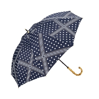 Wpc. _us[V[ PARASOL ՌXJ[thbg P 81-22679