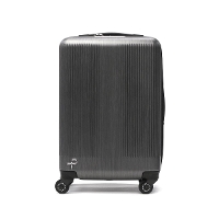 yKi10Nۏ؁zPROTeCA veJ gNV2 @ݑΉX[cP[X 39L 45L 01491