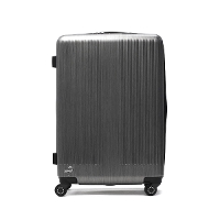 yKi10Nۏ؁zPROTeCA veJ gNV2 X[cP[X 68L 77L 01493