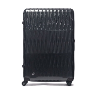 yKi10Nۏ؁zPROTeCA veJ TRIAXIS 3 gANVX3 X[cP[X 132L 02495