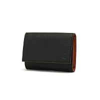 yKi1Nۏ؁z Felisi tF[W LD h 450/LD