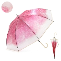 Wpc. _us[V[ N[\[_Au rj[P pt-ta0