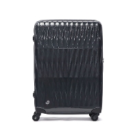 yKi10Nۏ؁zPROTeCA veJ TRIAXIS 3 gANVX3 X[cP[X 72L 02493