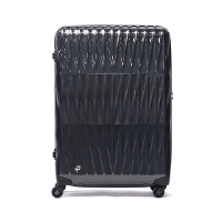 yKi10Nۏ؁zPROTeCA veJ TRIAXIS 3 gANVX3 X[cP[X 93L 02494