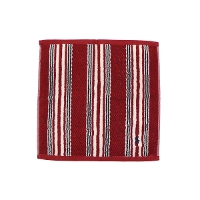 �y���[���ւő��������z POLO RALPH LAUREN �|�������t���[���� CLASSIFICATION TOWEL WSH �^�I�� 611975088