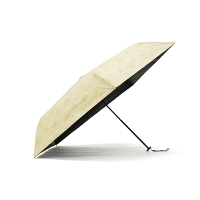 because �r�R�[�Y ���C���t�����[ �~�j �܂肽���ݎP B-093985