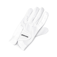 �y���[���ցz�y���{���K�i�zBRIEFING GOLF �u���[�t�B���O �S���t LIGHT GLOVE-L �O���[�u BRG261A60