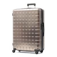 �y���K�i10�N�ۏ؁zPROTeCA �v���e�J 360G4 ���^���b�N 2 �X�[�c�P�[�X 100L 08604