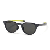 Eyevol �A�C���H�� ABELL(49) �T���O���X